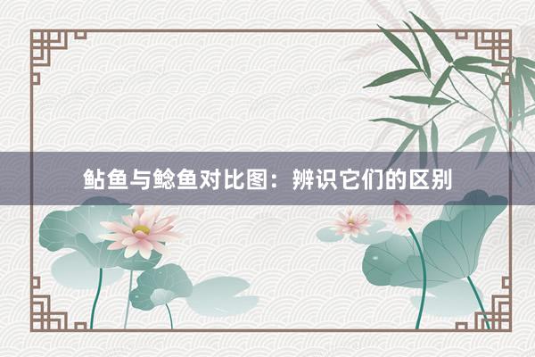 鲇鱼与鲶鱼对比图：辨识它们的区别